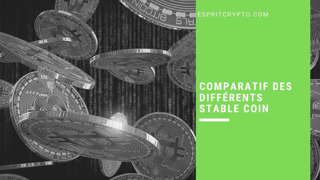 Comparatif des différents stable coin